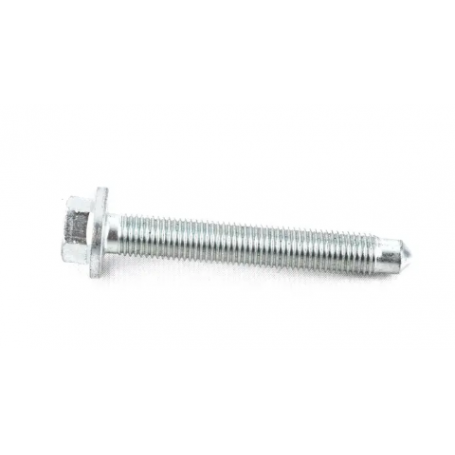 Genuine Audi MK2 TTRS Dogbone Arm Central Bolt - 8J0199395D