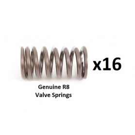 Genuine R8 Valve Spring Kit For TFSi/TSi