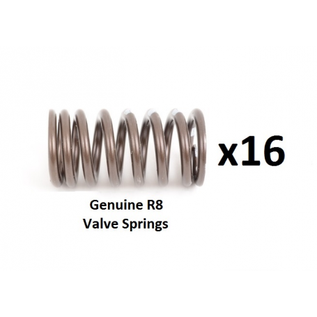 Genuine R8 Valve Spring Kit For TFSi/TSi