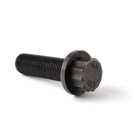 Genuine Crankshaft Pulley Bolt