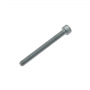 Genuine TFSi M6x60 Torx Bolt