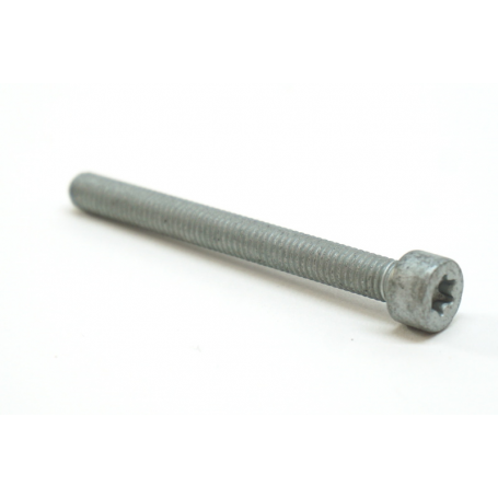 Genuine TFSi M6x60 Torx Bolt
