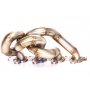 Nortech Stock Location T25 Garrett GTX Manifold Ford Focus RS Mk1 - PRNV2RSMK1