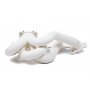 Nortech Turbo Manifold Ford Focus RS Mk1