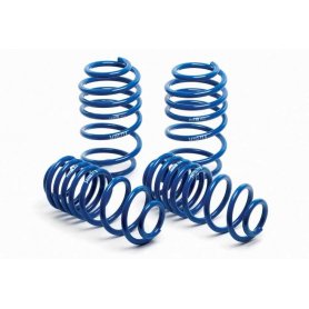 H&R Lowering Springs - Ford Fiesta ST150 MK6 - 29317-2