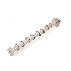 Genuine VAG CDL Inlet Camshaft - 06F109101K