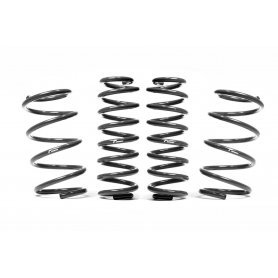 Racingline Sport Lowering Springs VW Polo MK6 (AW) GTI - VWR31P2GT