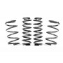 Racingline Sport Lowering Springs VW Polo MK6 (AW) GTI - VWR31P2GT