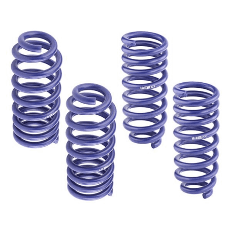 H&R 30mm Lowering Springs  - R35 GTR - 28989-1