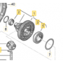 Genuine VAG Differential Bearings - Manual 02Q Gearbox
