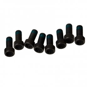 LUK Flywheel Bolts - TSi Platform