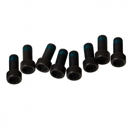 LUK Flywheel Bolts - TSi Platform