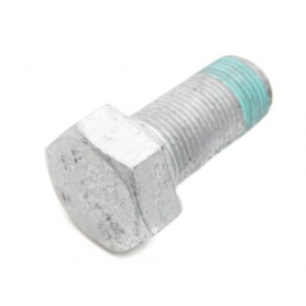 Genuine VAG Crankshaft Damper Bolt - 3.2 VR6 - N0100876