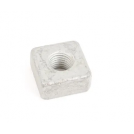 WHT002305